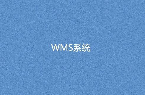 WMS系統(tǒng) WMS系統(tǒng)