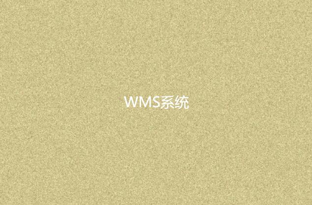 WMS系統(tǒng)適合小型企業(yè)嗎？